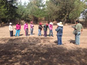 10150057_4053809839626_979596299_n_1