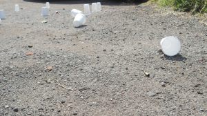 foto. ANTAC-Noticias