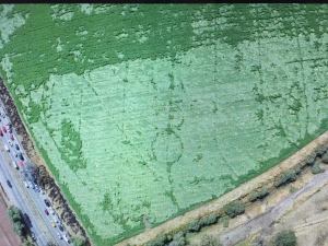 Foto aérea captada por un dron