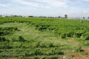 Foto. ANTAC-Noticias