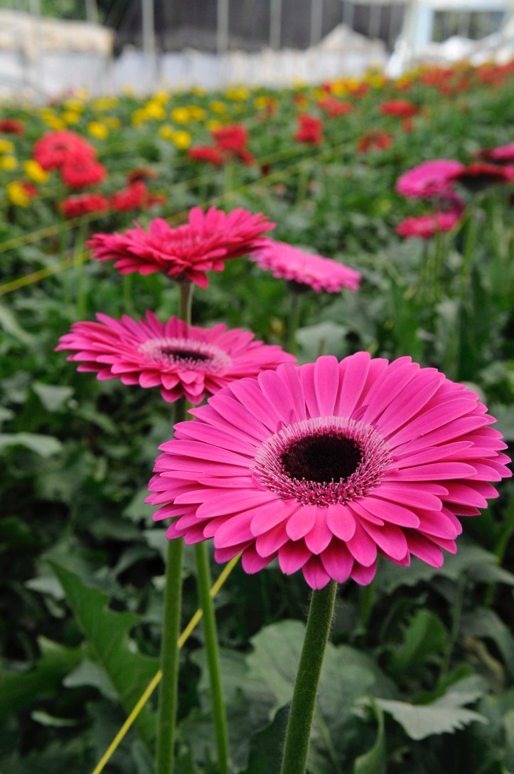 10EA21A3-C3BE-461D-8CE7-D2C77B8A64B4