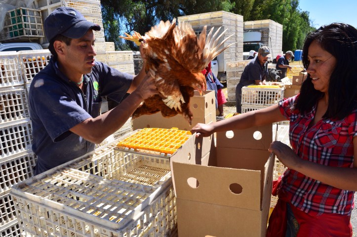 54641FCE-53F1-4970-BE27-36E3D792ACAE