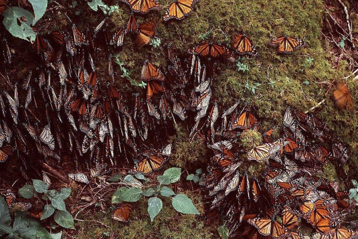 6E43BBC8-4A85-47A0-B692-93C1D6D45F5E