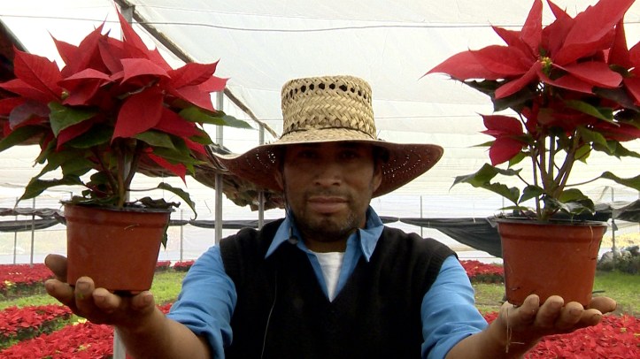 75AF16B9-9940-41EC-84F3-EEC7C3AA67C9