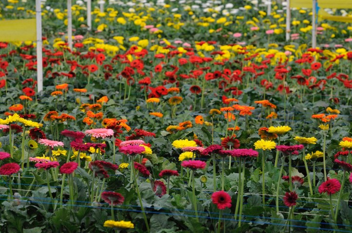 99BCD103-1D44-455A-8EAB-4B15F37C7F07