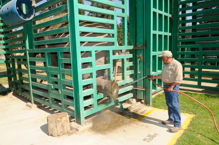 A3E1A4BB-7006-4DAB-B56C-6AA88FA977EA