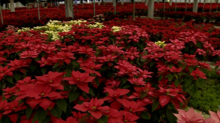 B8A4758B-29B6-4DEA-A9C7-C9CF25B2C767