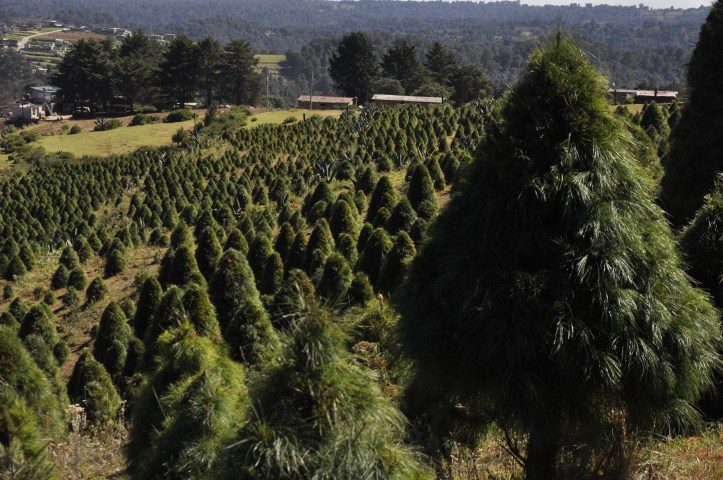 B9F9DF73-F339-4B16-8B5B-C3EE9971509E