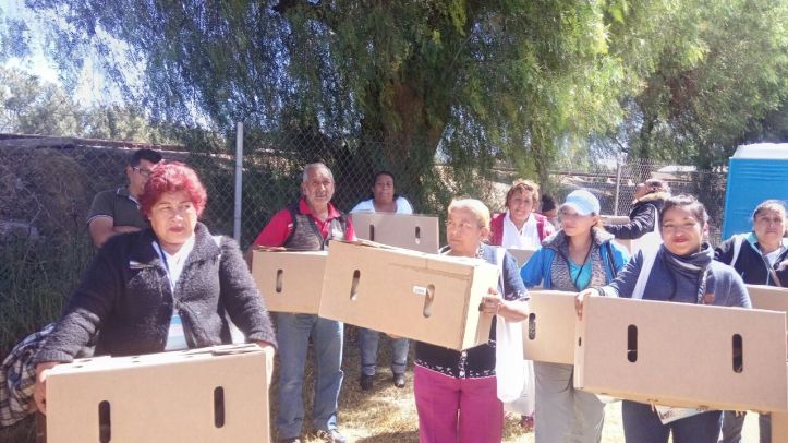 E5D6D645-B2FF-49F1-8FD2-0F26218D8147