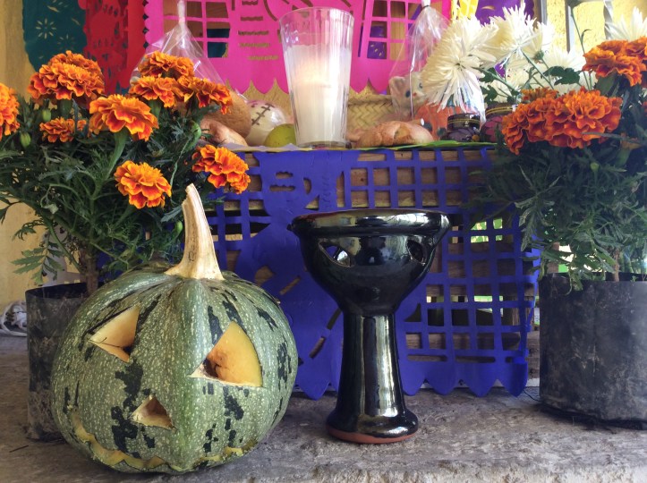 F2C95DED-C651-4C67-9E83-5999FEAC263E