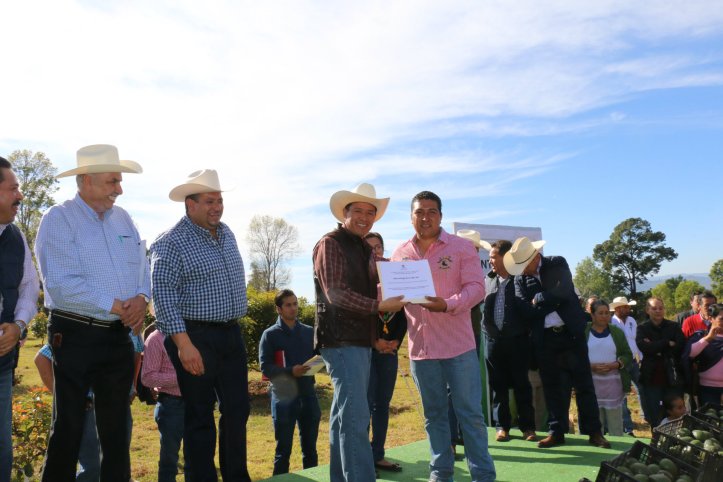 43E16B8F-7B0A-4B1E-9F12-6A6A1D836874