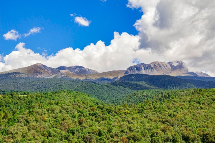 899C8077-7336-4C8C-A8D4-697E46BBCC95