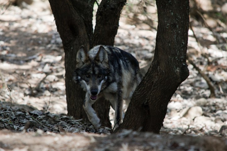 A957C953-6150-4DE7-B41C-404E21E45EC5