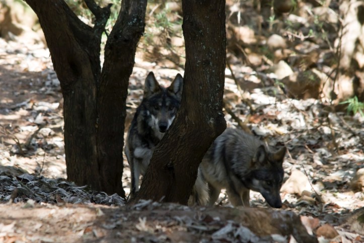 AF28A591-164A-499C-A0EB-A64FBA2EDB6C