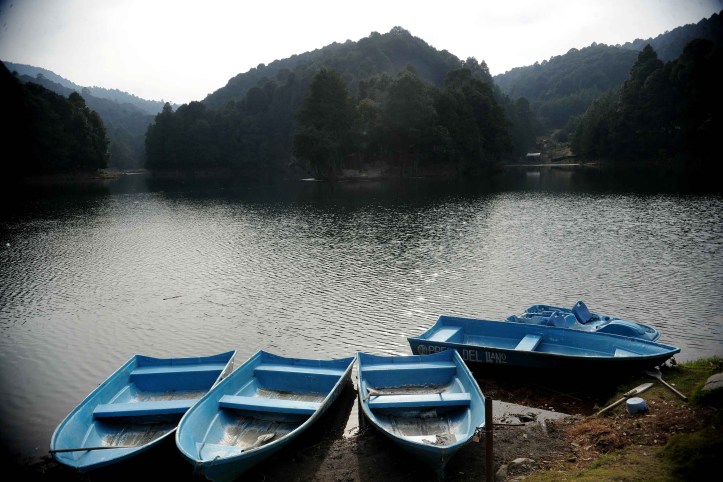 C98F73F2-86FF-4D89-812B-15640177E47F