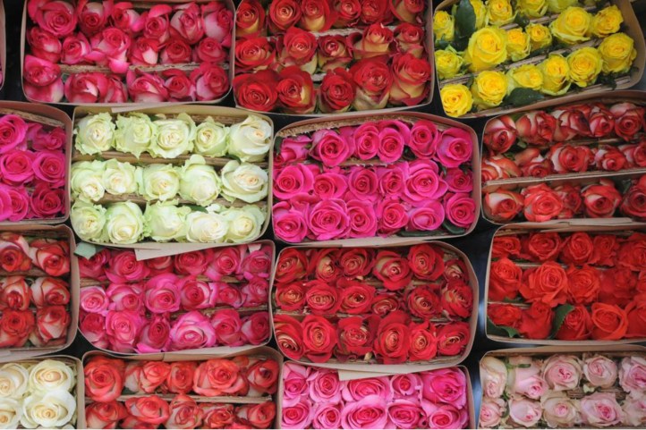 3CB8AC69-96DC-46D5-BD9A-7AFE4D11723A