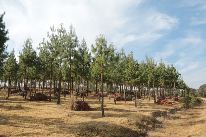 80C5F583-ED75-4A02-AE43-8E5F05E8E944