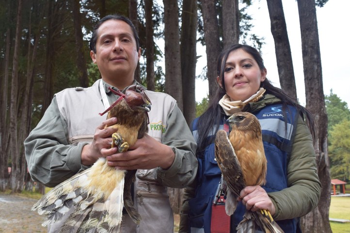 D80FA197-C0FF-44FE-BBDE-491FF8064280