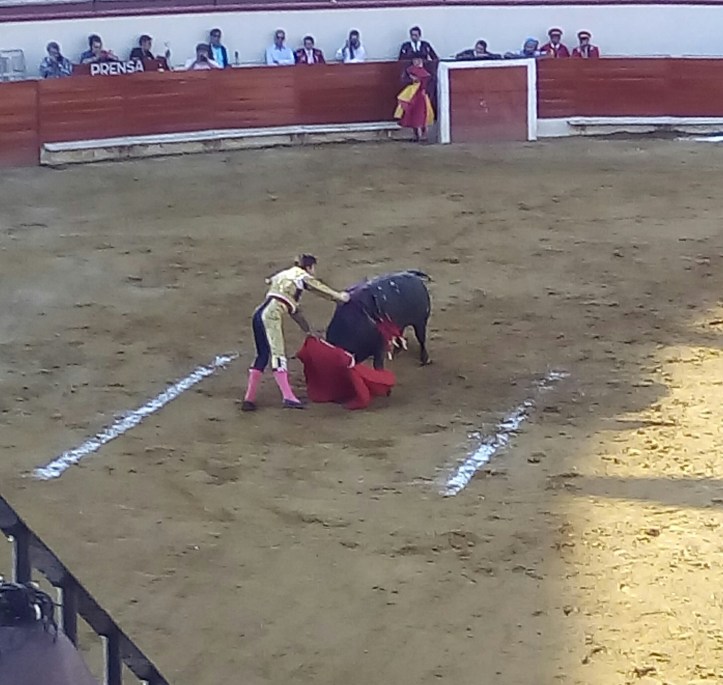 IMG_20180325_215607_553