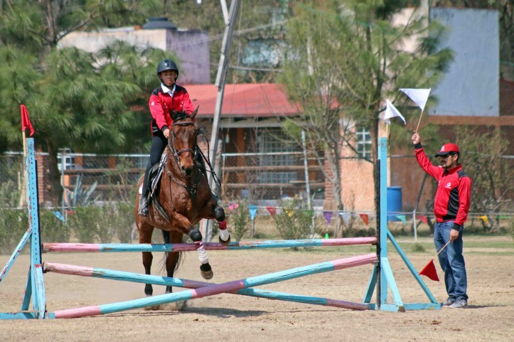 21E0AF7E-B071-4D8C-AB80-CBB26D8A5B67