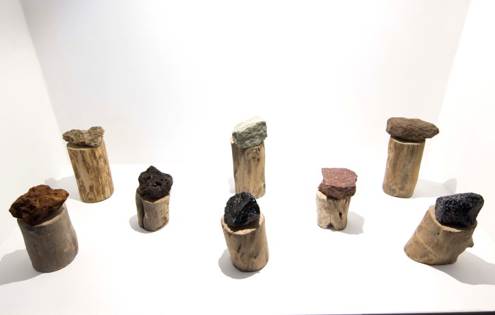 04C46A9E-A00C-4D34-BEB6-8694ED206BD6