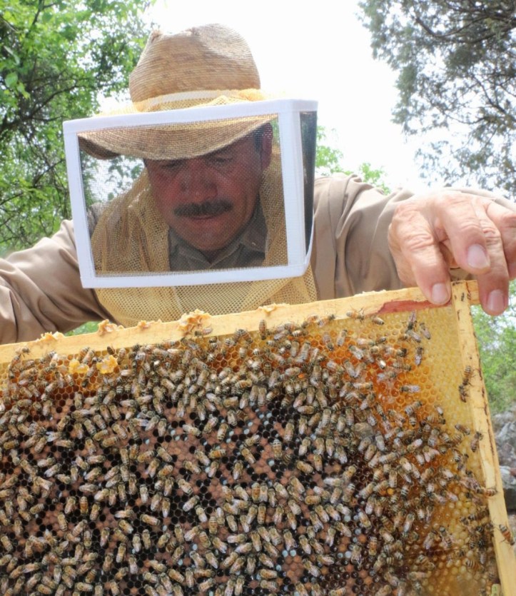 171AD496-A831-4CC3-94E1-307E36A3EC2E