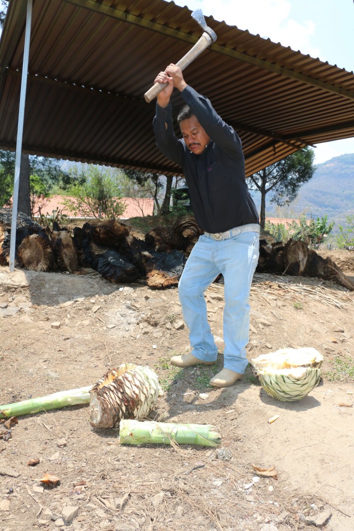 3BFD0DD9-B071-4DEF-8ACE-BC03B7442F8E