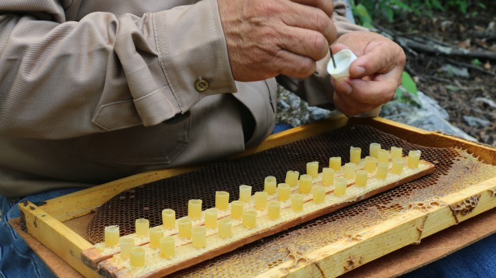 87FC4C0C-0F38-4FC4-992C-D297CBD19750