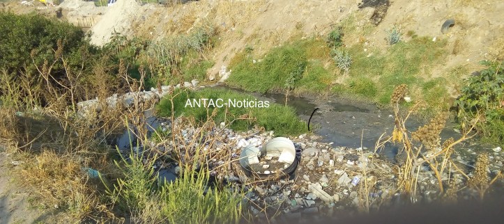 CAB77FAC-3C29-41D3-9CDE-46D6EBB64920