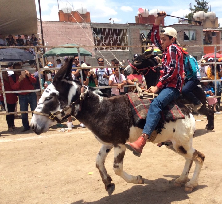 D4124ACD-5347-41C4-9BCE-F801D27EF380