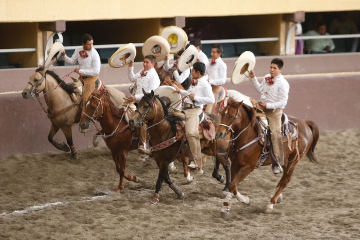 1FA1FE08-1444-4C6B-B060-6F977D7CF006