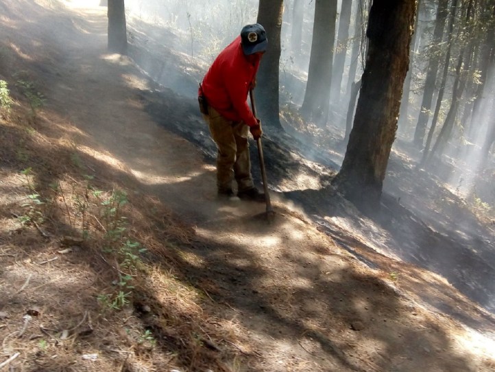 3EACDD25-F64E-470D-9269-BC473BBDEFDA