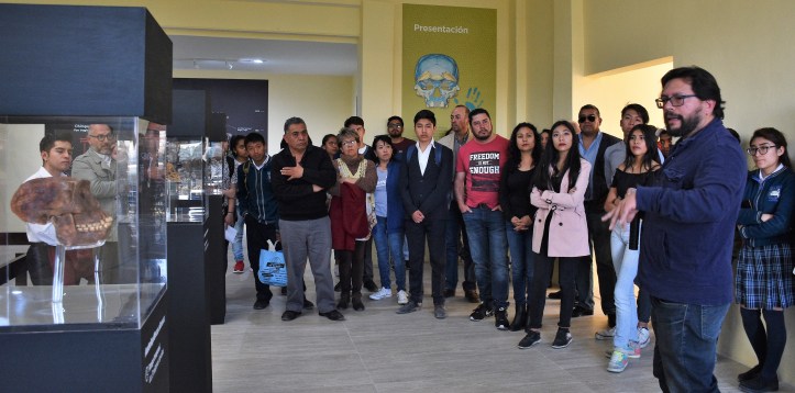 Diseñamos un discurso (museográfico) en el que queremos mostrar la síntesis entre las evidencias aportadas por los paleoantropólogos para entender nuestra evolución, y cómo la genética, con el estudio del